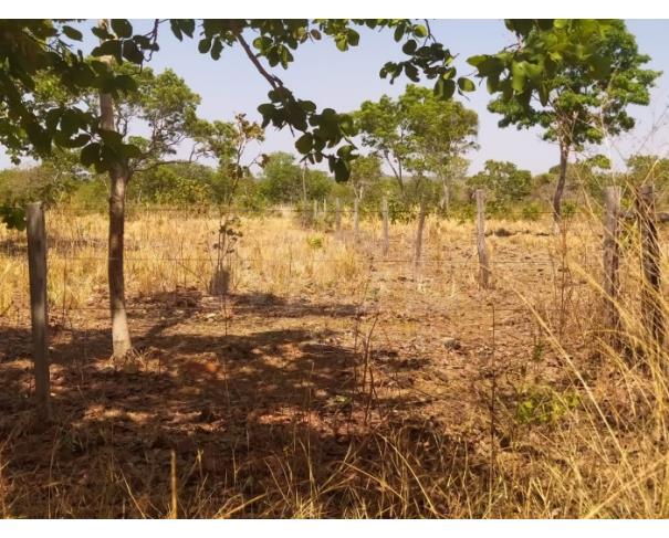 Foto de LUISLÂNDIA/MG - Fazenda com 92.00.33 hectares na Fazenda Macacos