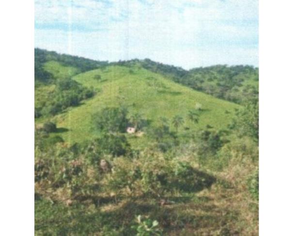 Foto de SÃO ROQUE DE MINAS/MG – Área rural com 104,85,80ha, denominada Fazenda Thalayas II - Parcelas 1 e 2