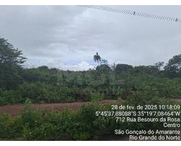Foto de SÃO GONÇALO DO AMARANTE/RN — Terreno com 231m² (F1555531762526)