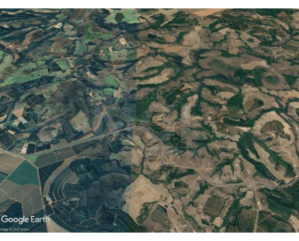 Campos altos/mg - imóvel rural área 102,00 hectares. fazenda em leilão | mgl leilões