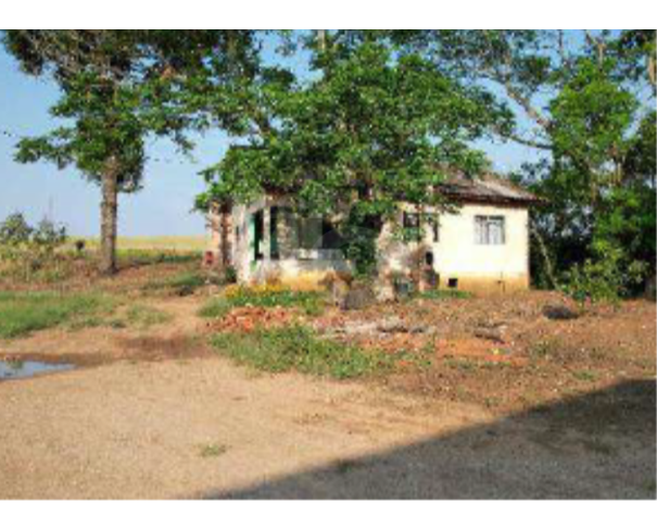 Foto de IVAÍ/PR — Terreno rural com 1.003.046,00m² no Faxinal do Cocho ou Faxinal da Forquilha