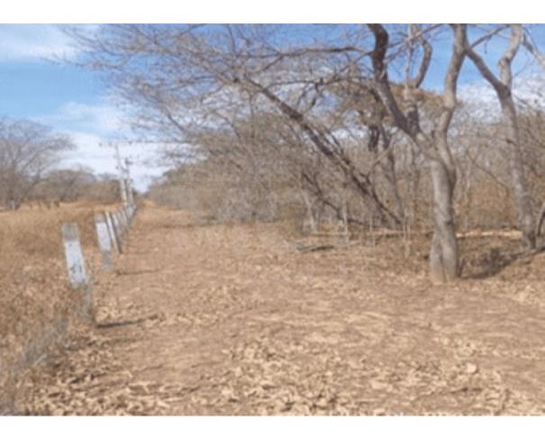 Foto de MUQUÉM DO SÃO FRANCISCO/BA – Fazenda com a área de 225,1618ha, denominada Fazenda Santa Rosa
