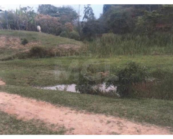 Foto de VIRGINOPOLIS/MG - FRAÇÃO DE 38,88% DA FAZENDA SÃO LUIZ SITUADA NO CÓRREGO MEXERICO