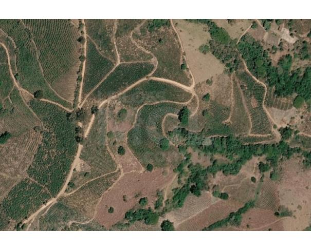 Foto de CABO VERDE/MG  — Terreno Rural com 0,05,60 hectares no Local denominado Fiéis