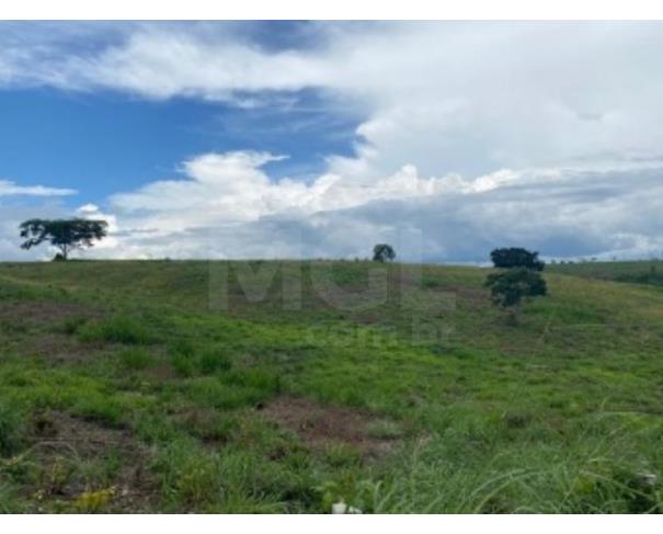 Foto de VILA NOVA DOS MARTÍRIOS/MA - FAZENDA SANTA MARIA PARTE 02 COM ÁREA DE 104,4522HA