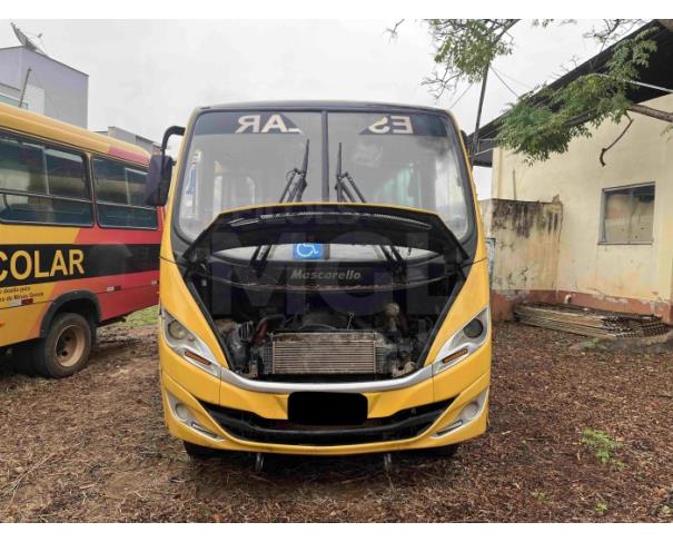 Foto de PIRAPETINGA/MG - Ônibus Iveco/ Wayclass 70C17HDE, 2018/2019, DIESEL 