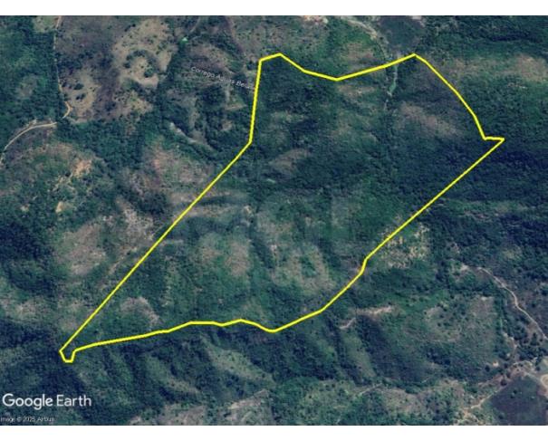 Foto de ALMENARA/MG — Terreno rural com 58,75 hectares