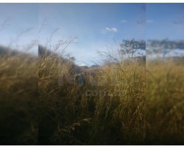 Foto de BRASILÂNDIA DE MINAS/MG — Fazenda Cachoeira 303.13.28 hectares (3.031.300m²) 