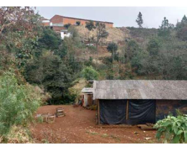 Foto de DIONISIO CERQUEIRA/SC - Terreno com 4.400 m² no bairro Salete