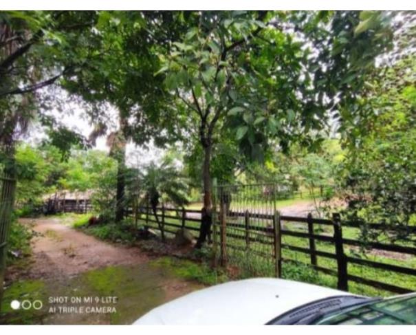 Foto de CATAGUASES/MG — Terreno Rural com 5.16.26 hectares no Sítio das Palmeiras