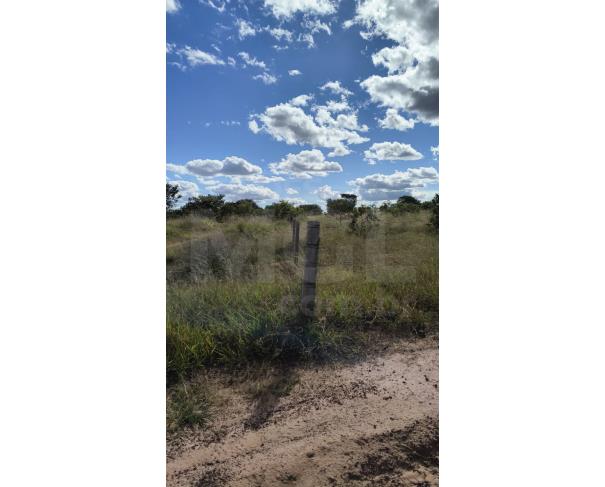 Foto de JOÃO PINHEIRO/MG-TERRENO NA FAZENDA SÃO BARTOLOMEU