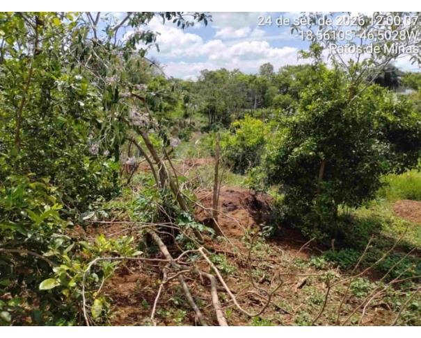 Foto de PATOS DE MINAS/MG - Lote urbano com área de 4.523,46 m², localizado no bairro Altos dos Caiçadas 