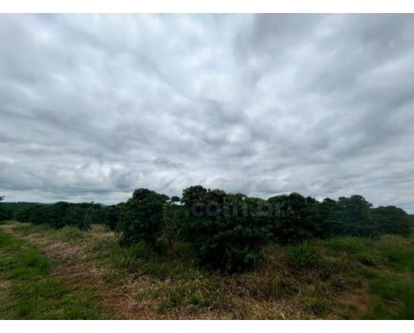 Foto de CAMPOS GERAIS/MG — Terreno Rural com 3.26.88 hectares no lugar denominado Palmeiras
