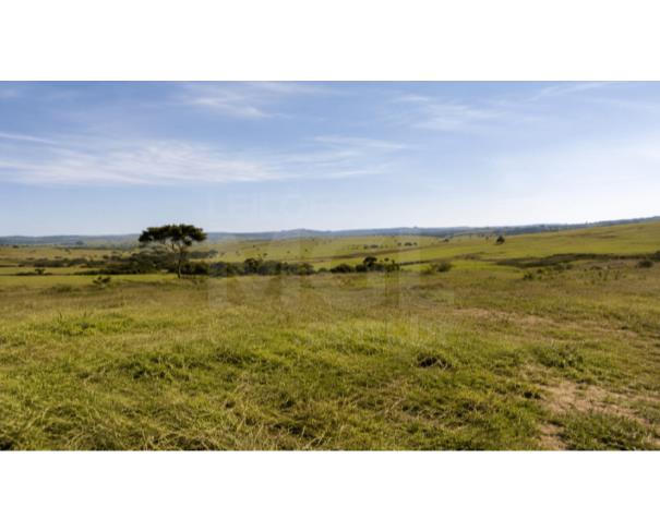 Foto de LUZ/MG – Fazenda Noruega com a área de 45,84,05ha no distrito de Esteios