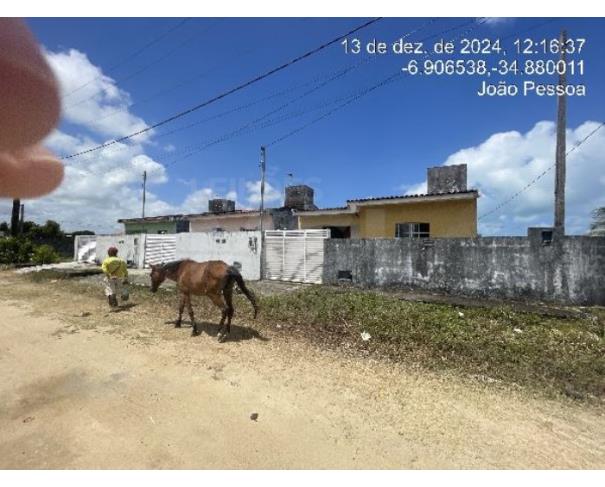 Foto de LUCENA/PB — Casa 2 quartos (F8444413044204)