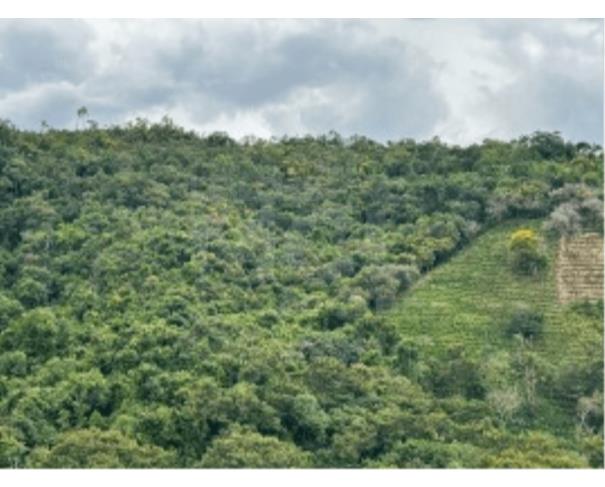 Foto de JACUTINGA/MG IMÓVEL RURAL SITUADO NO BAIRRO BOCAIÚVA COM ÁREA DE 6,7074HA 