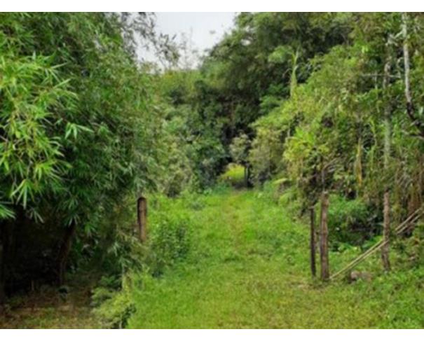 Foto de SILVA JARDIM/RJ — Fazenda com 305.80.00 hectares ou 63,19 alqueires