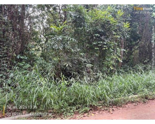 Foto de IGARAPE/MG — Terreno (1444405778956)