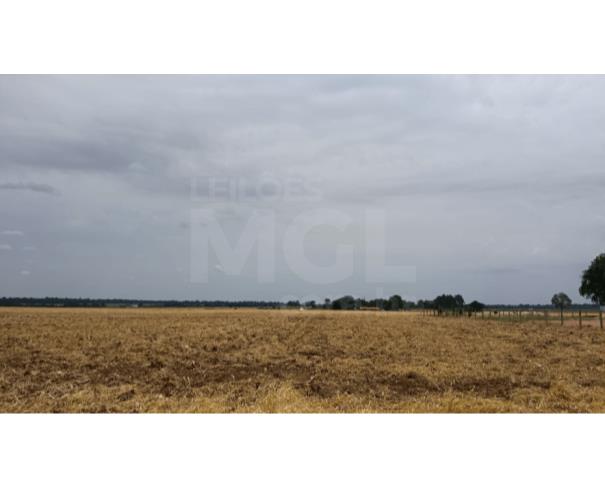 Foto de CEREJEIRAS/RO - Terreno urbano com 4.500,00 m² no Setor Industrial 07