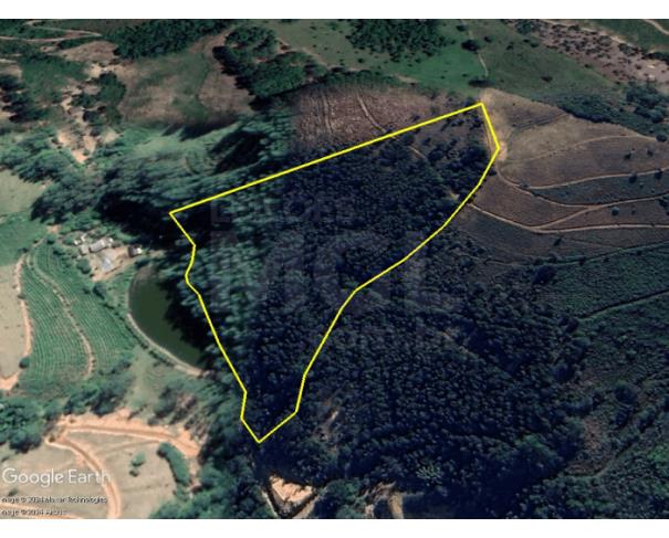 Foto de MANTENÓPOLIS/ES — Terreno Rural com 51.285,00m² e plantação de eucalipto no Córrego do Indaiá