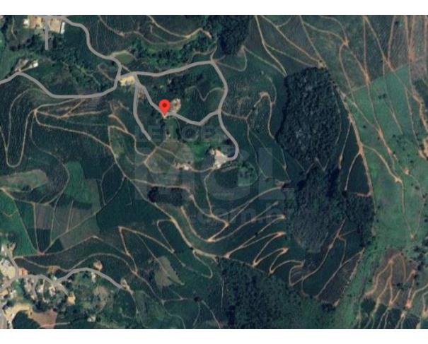Foto de ORIZÂNIA/MG – Fazenda cafeeira produtiva com a área de 22,08,48ha, denominada Fazenda Providencia, Córrego da Fumaça
