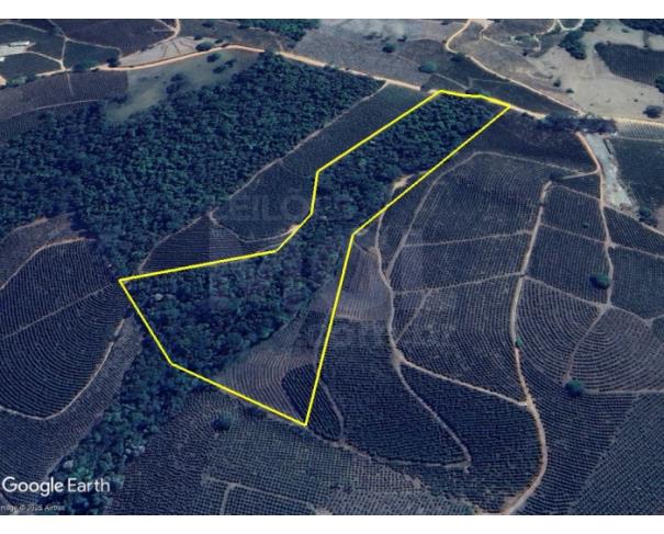Foto de NOVA RESENDE/MG — Terreno rural com 4.50.30 hectares no Floresta ou Rio Claro
