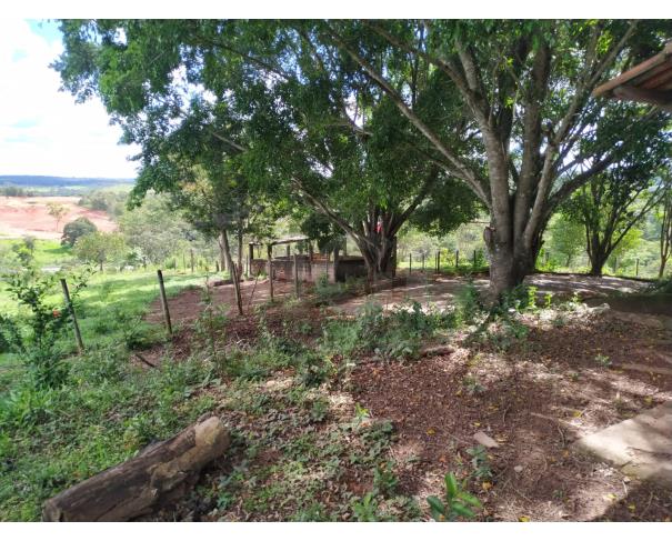 Foto de SÃO GONÇALO DO PARÁ/MG – Sítio com 19.88.00 hectares (198.800m²) frente para BR—262 
