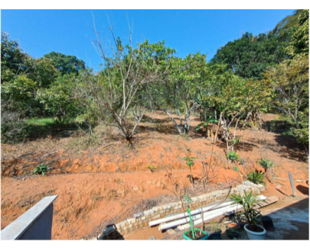 Foto de CATAGUASES/MG — Chácara com 5.500,00m² com casa