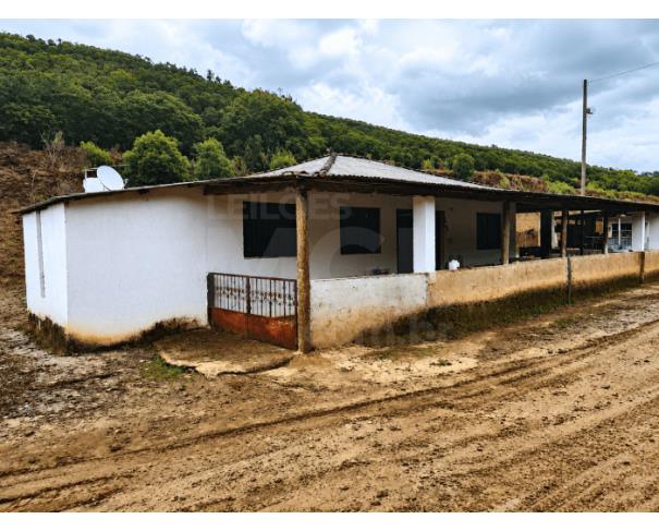 Foto de DIVINO/MG – Fazenda cafeeira com a área de 10,84,25ha, denominada Fazenda Bom Destino
