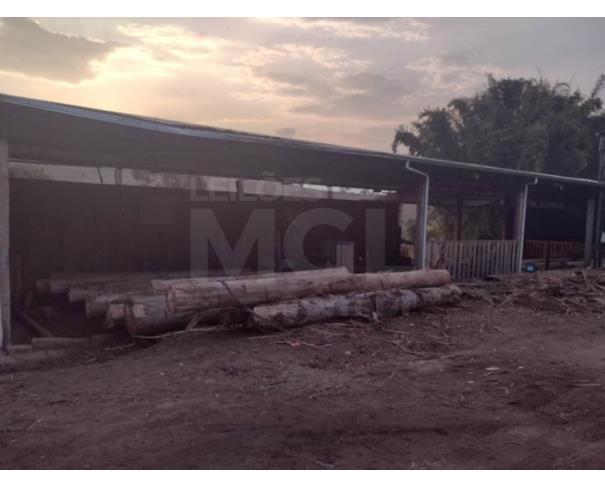 Foto de ELÓI MENDES/MG — Galpão industrial com área construída de 1.200m²