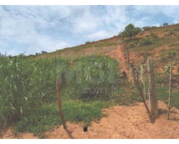 Foto de MURIAÉ/MG — Terreno Rural 4.47.00 hectares com casa Distrito de Boa Família— PA4442