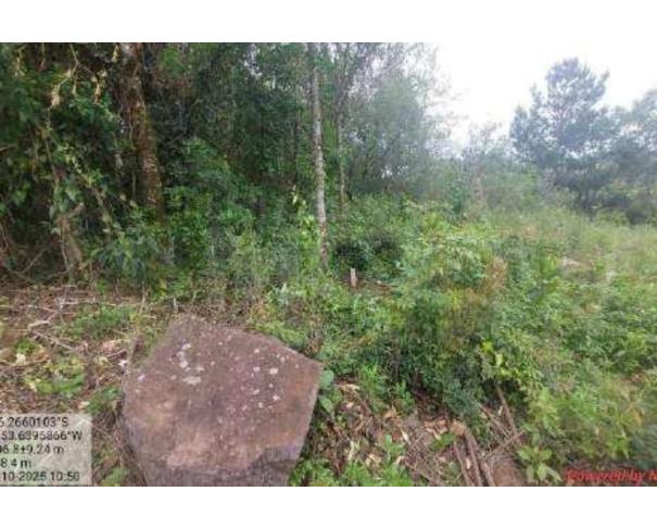 Foto de DIONISIO CERQUEIRA/SC - Terreno com 4.400 m² no bairro Salete
