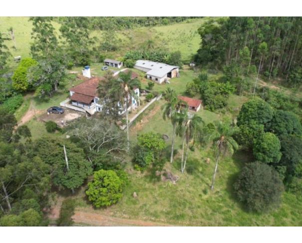 Mercês/mg - terreno rural com 38.04.78 hectares no local denominado palestina. fazenda em leilão | mgl leilões