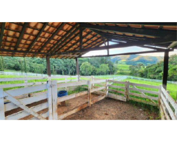 Foto de CAPITÓLIO/MG — Fazenda Grotão com 14.50.00 hectares