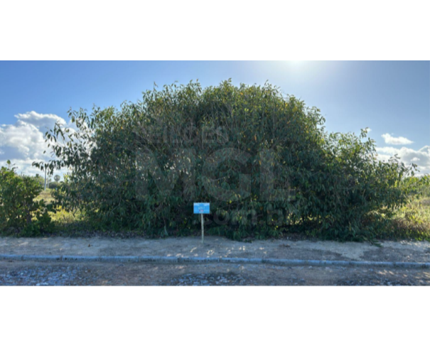 Foto de BELMONTE/BA - Lote com a área de 642,60m², situado no Condomínio Belmonte Bahia Beach Village