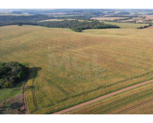 Foto de IVAÍ/PR — Terreno rural com 1.003.046,00m² no Faxinal do Cocho ou Faxinal da Forquilha