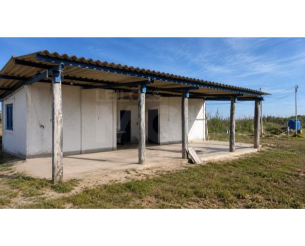 Foto de LUZ/MG – Fazenda Noruega com a área de 45,84,05ha no distrito de Esteios