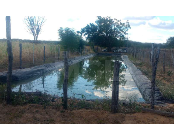 Foto de SÃO FRANCISCO/MG — Terreno Rural com 5.16.00 hectares na Fazenda Brejo dos Angicos