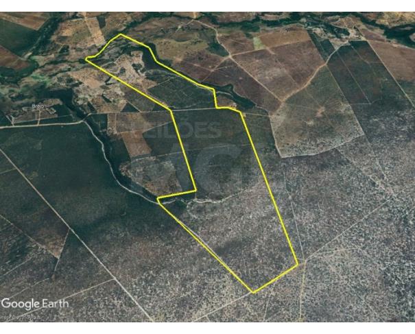 Foto de ARINOS/MG — Fazenda com 573.84.48 hectares na Fazenda Santa Clara