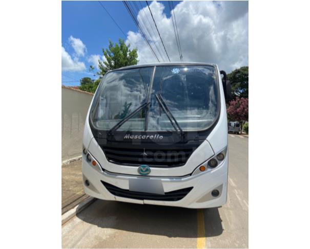 Foto de SÃO SEBASTIÃO DA BELA VISTA/MG -  Ônibus - Mercedes BENZ Mascarello Granmicro O,   2013/2014