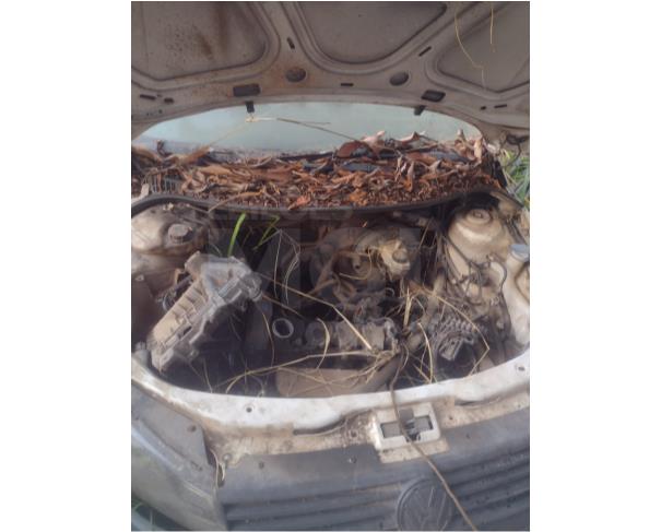 Foto de ESMERALDAS/MG - CAMINHONETE - VW Saveiro Pickupecia CS Ambulância, 2016/2017