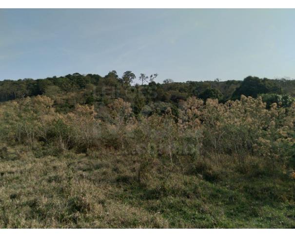 Foto de CARMO DE MINAS/MG — Terreno rural com área de 6.00.00 hectares (60.000m²)