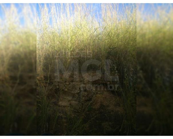 Foto de BRASILÂNDIA DE MINAS/MG — Fazenda Cachoeira 303.13.28 hectares (3.031.300m²) 