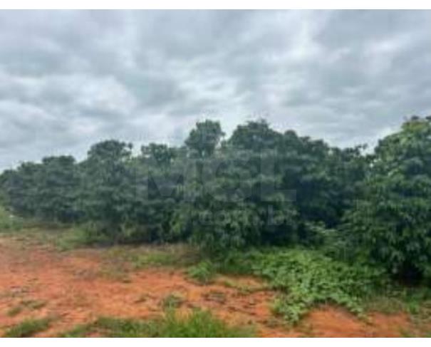 Foto de CAMPOS GERAIS/MG — Terreno Rural com 3.26.88 hectares no lugar denominado Palmeiras