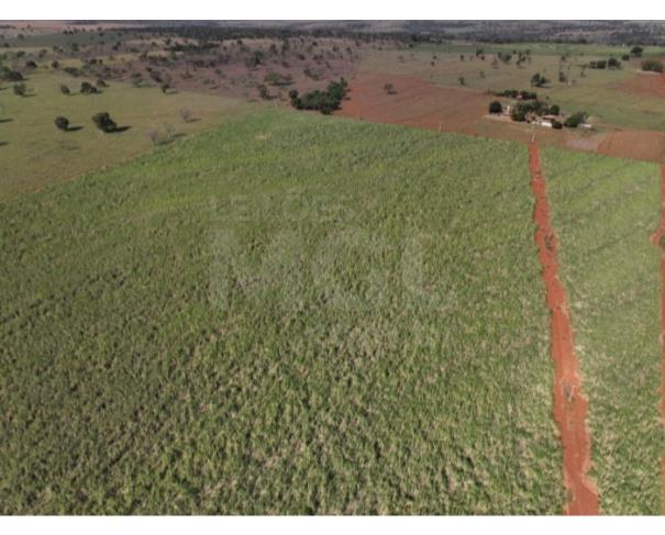 Foto de ITAPAGIPE/MG – Terreno Rural com 10.55.14 hectares na Fazenda Moeda ou Moeda de Cima