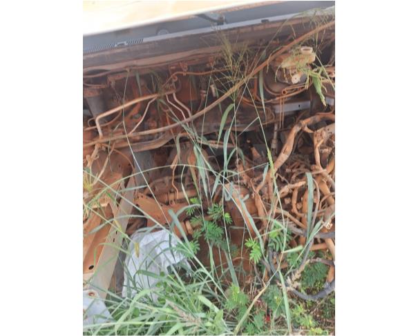 Foto de IRECÊ/BA -  Renault Master Marimar Ambulância, 2018/2019