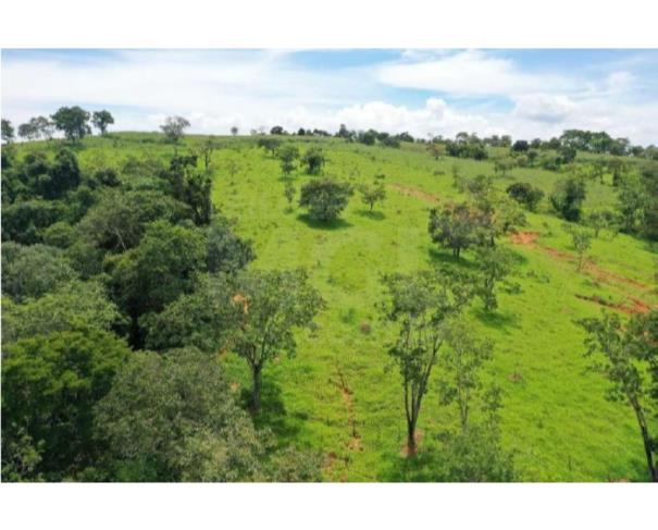 Foto de PIUMHI/MG - Terreno Rural com 22,25,12 hectares no distrito de Doresópolis
