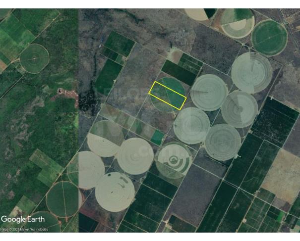 Foto de Jaíba/MG - Terreno Rural com 24.96 hectares no Projeto Jaíba - jb20244