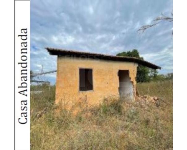Foto de ARINOS/MG-TERRENO NA FAZENDA BOI PRETO OU ALEGRE 