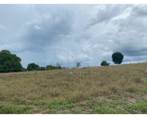 Foto de VILA NOVA DOS MARTÍRIOS/MA - UMA GLEBA DE TERRAS COM ÁREA DE 10.87,90HA